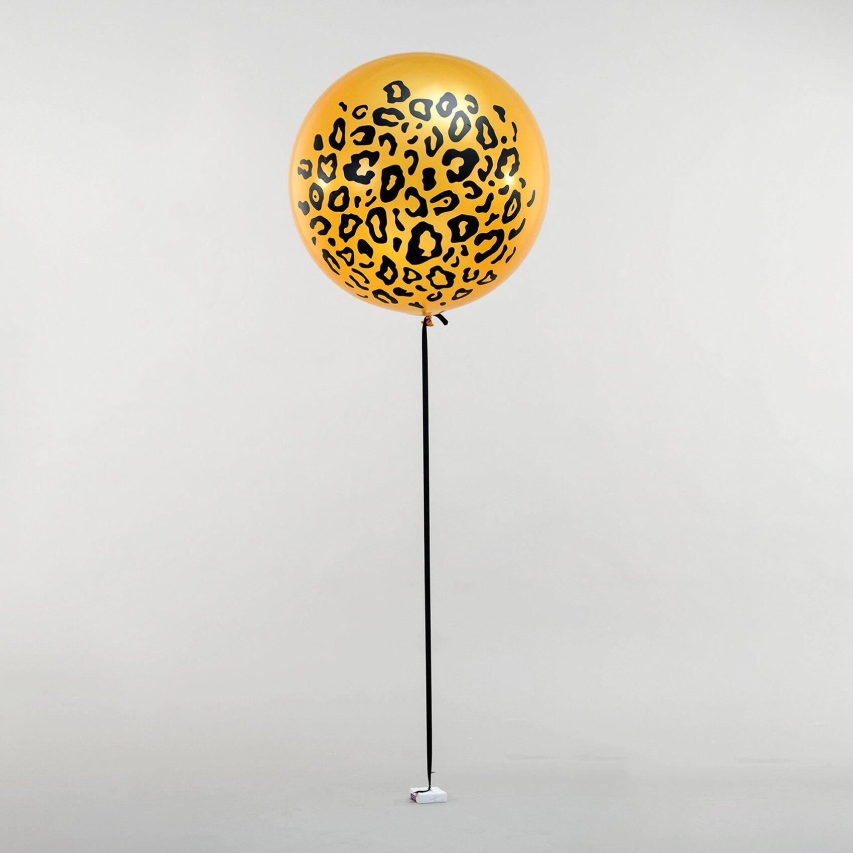 Animal Prints