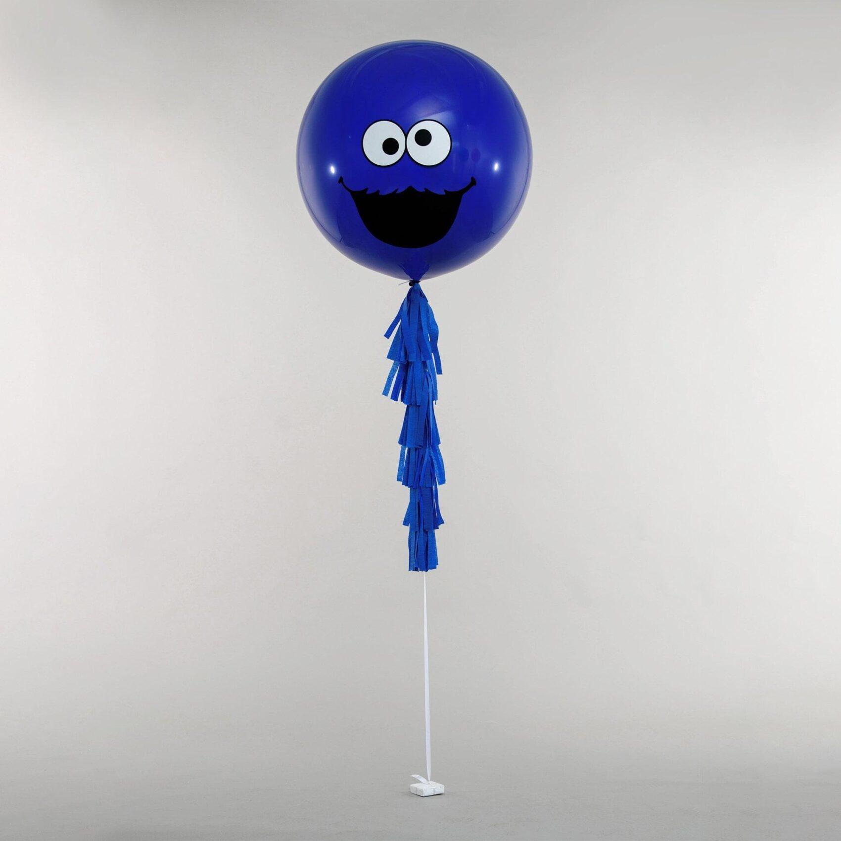 Sesame Street - Cookie Monster BAB