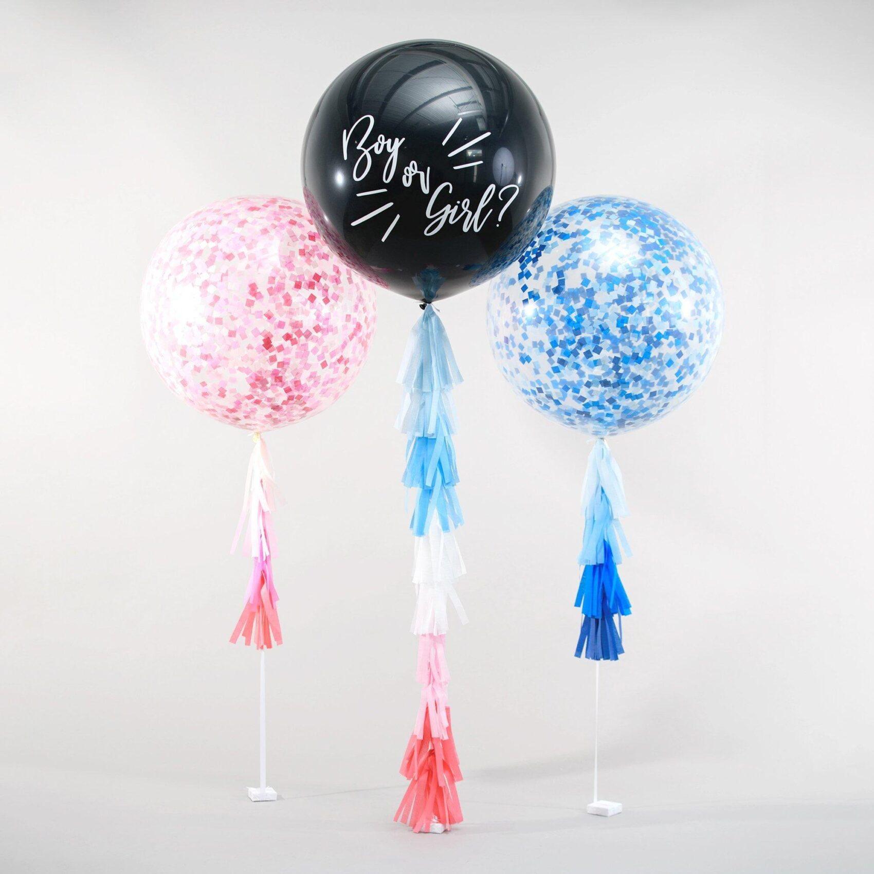 Gender Reveal Package