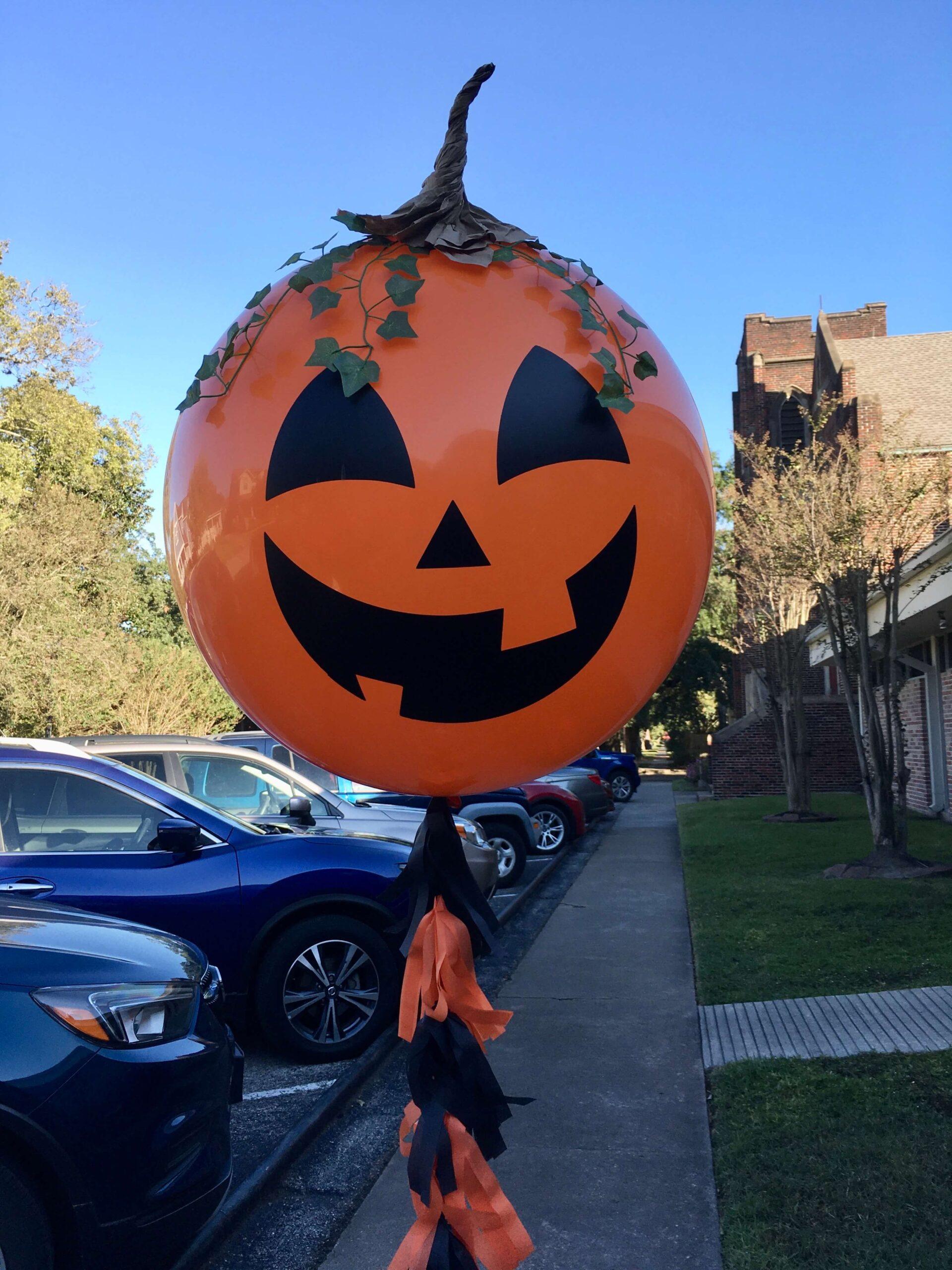 Pumpkin BAB - Image 3