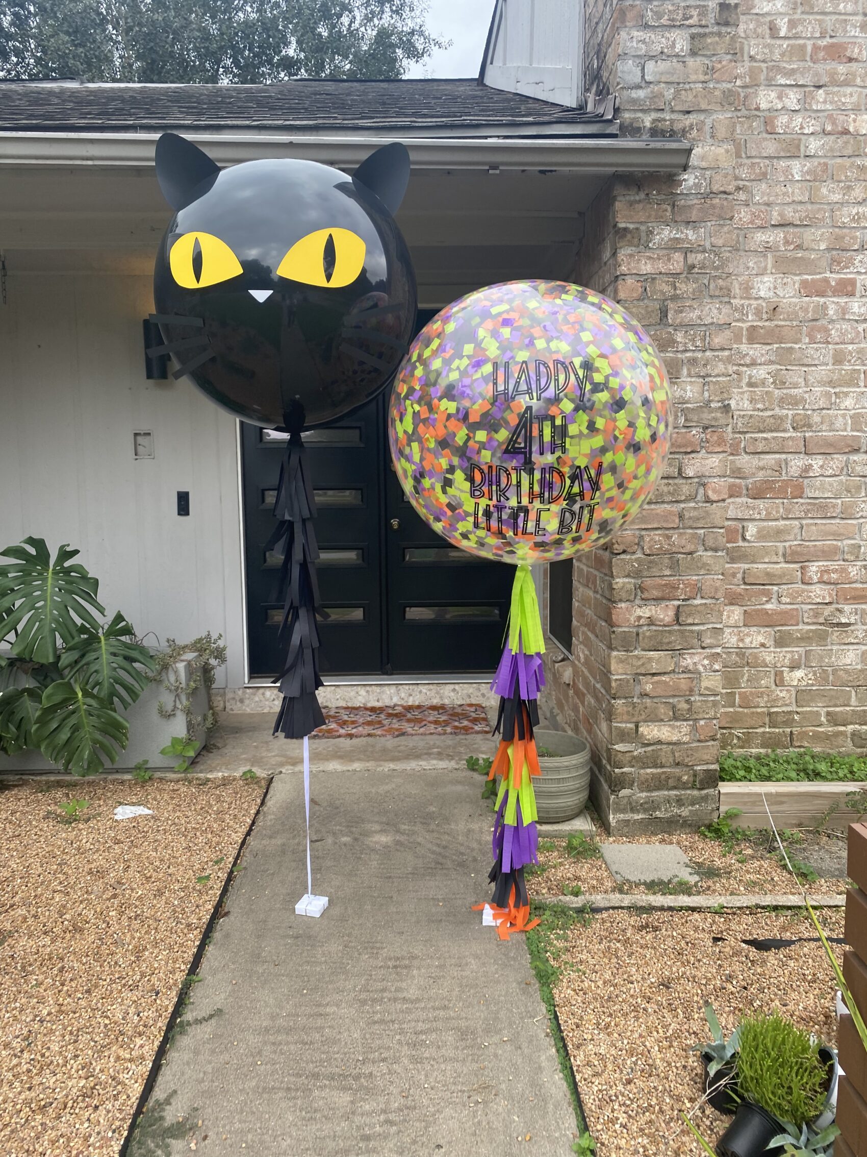 Black Cat + Custom Confetti Package